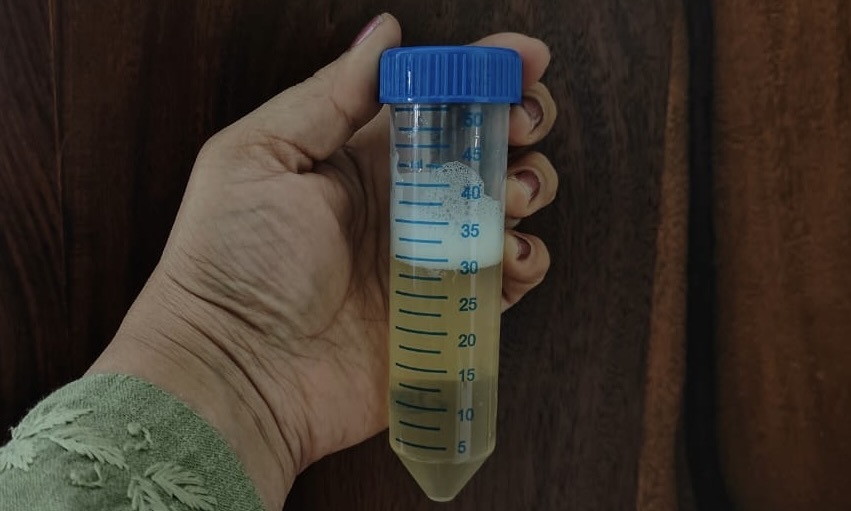 Rohini in text image